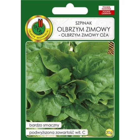Szpinak Olbrzym Zimowy 20g